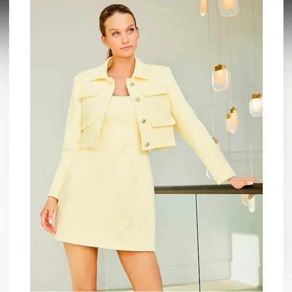 ANTONIO MELANI Dresses Nwt Antonio Melani Macy Tweed Beaded